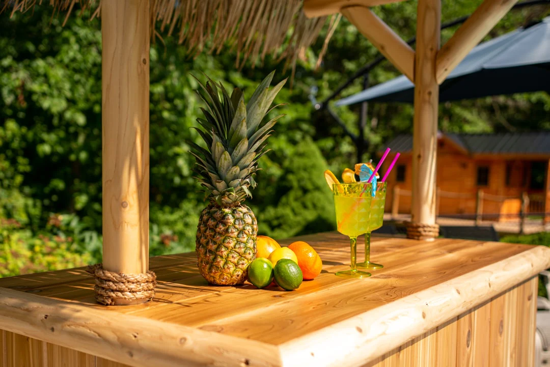 Dundalk Southern Fantasy Tiki Bar - Image 10