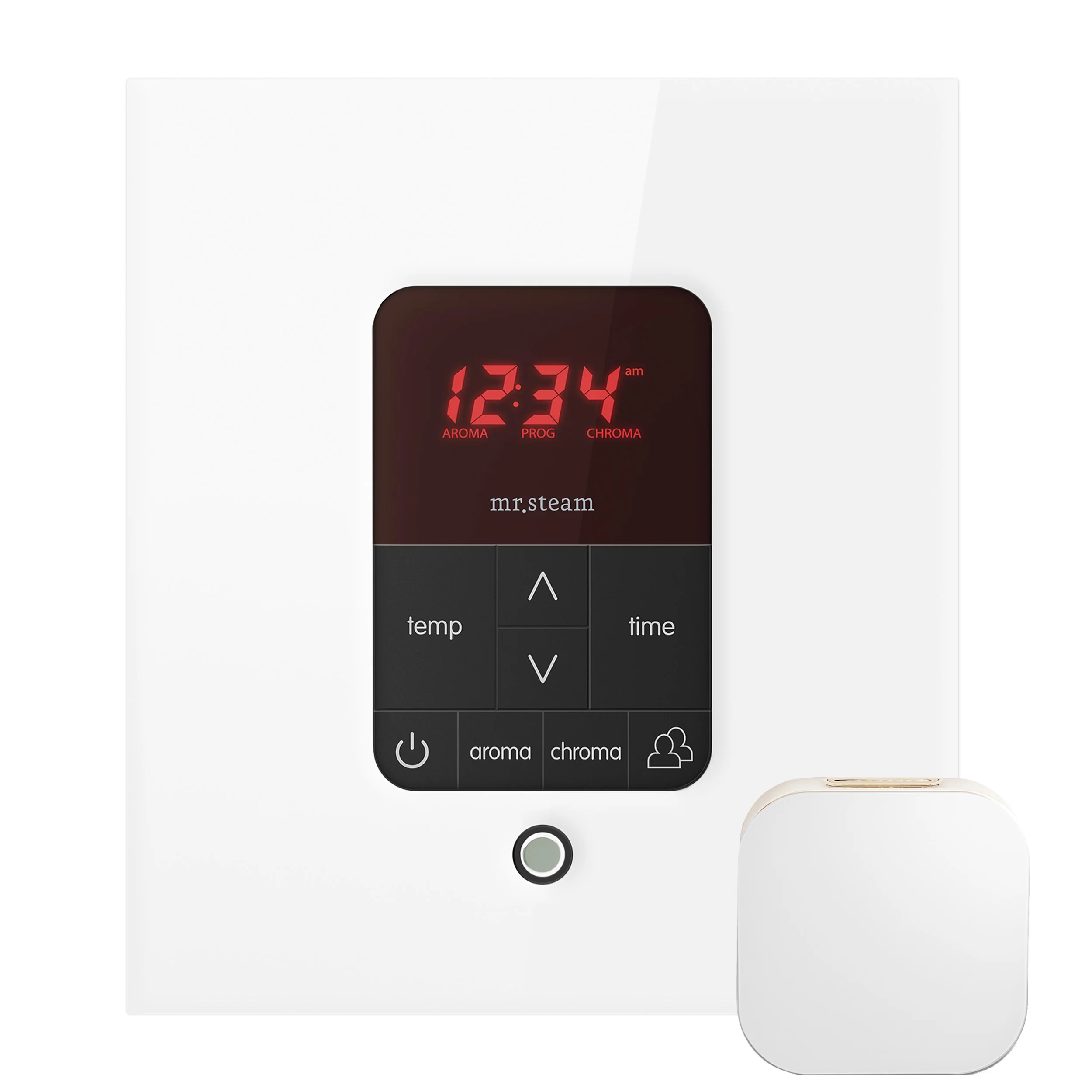 Mr. Steam iTempoPlus® Square Steam Shower Control - Image 14